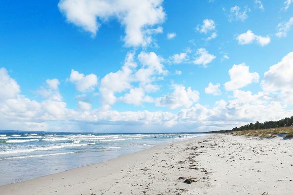 Natur Sandstrand Rügen Schaabe