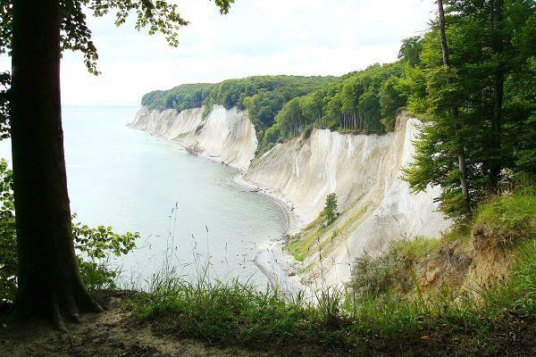 Kreidefelsen Rügen