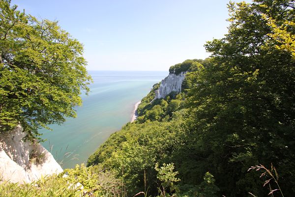 Kreideküste in Rügens Nationalpark Jasmund