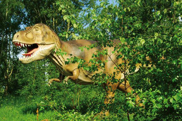 Dinosaurierland Rügen