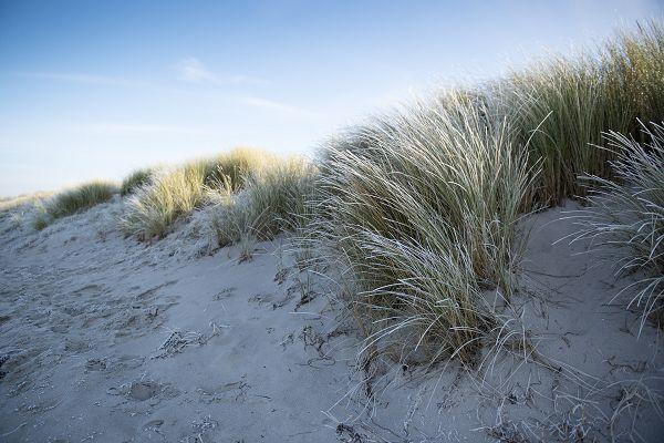 Ostseestrand im Januar