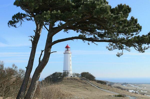 Leuchtturm Hiddensee - Dornbusch