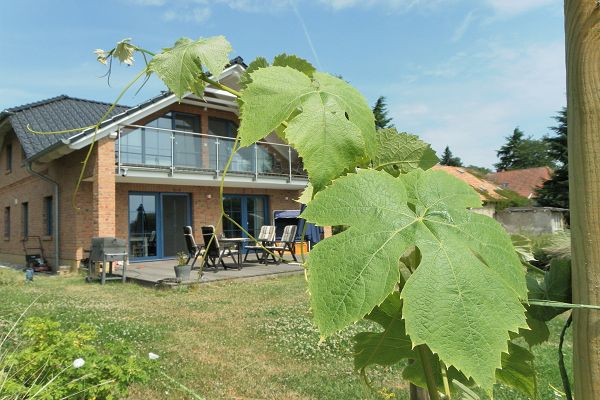 Landhaus am Rebstock F-1059 in Lancken-Granitz