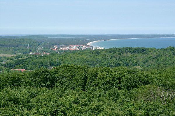 Über den Bäumen von Binz