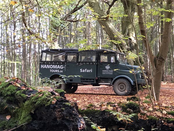 Hanomag Jeep Safari auf Rügen