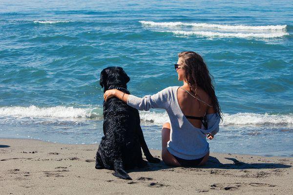 Urlaub mit Hund auf Rügeen