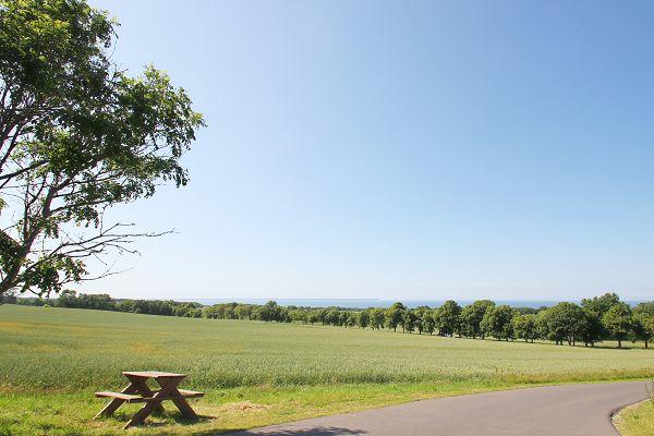 Wandern mit Ostseeblick