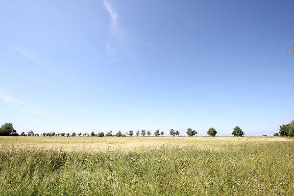 Wunderschöne Landschaften auf Rügen