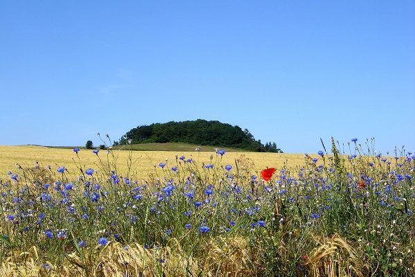 Landschaft auf Rügen