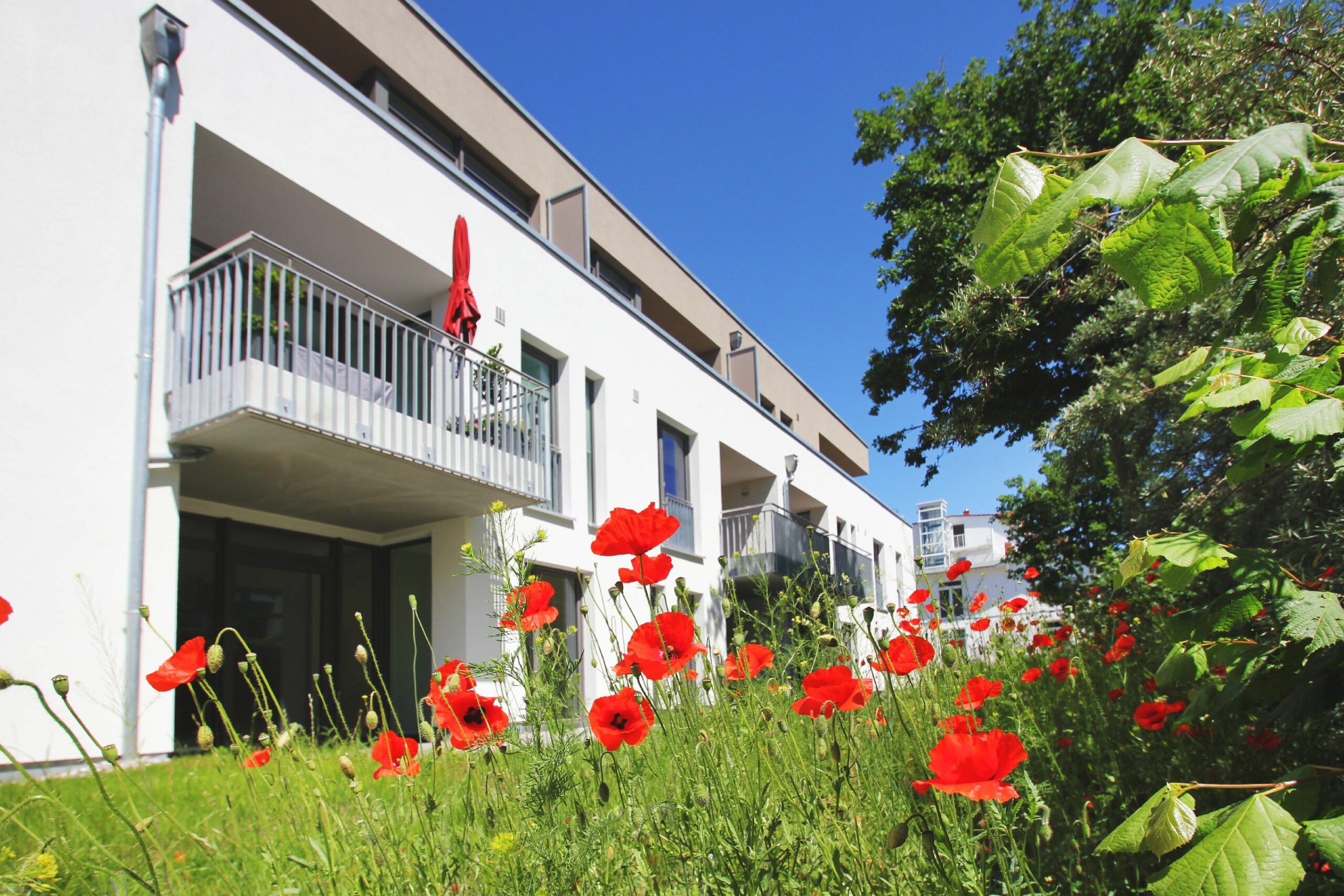 Dünenresort Binz in Binz