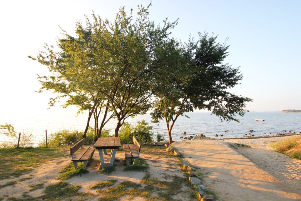 Ferienwohnung Nr. 01 in Göhren - 13