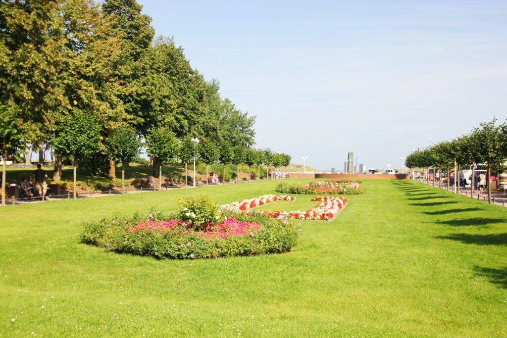 FeWo Reetblick in Baabe - 22