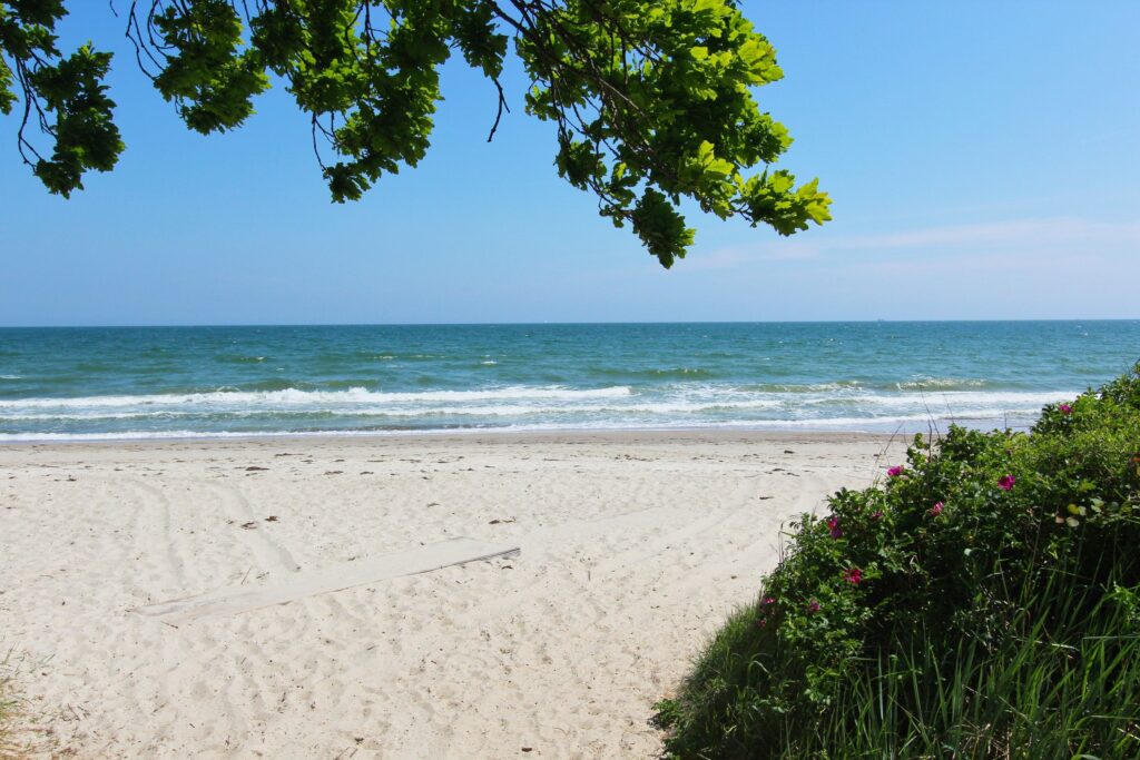 Strandhaus Jolu in Lobbe - 1