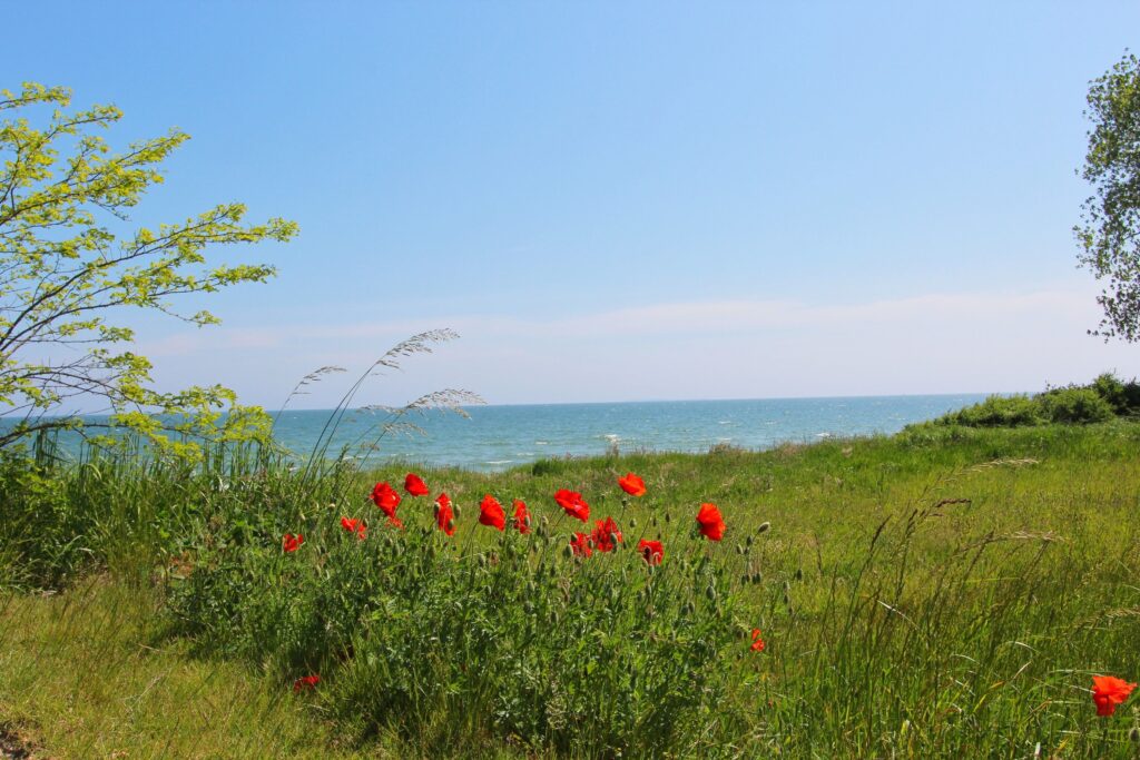 Strandhaus Anna in Lobbe - 35