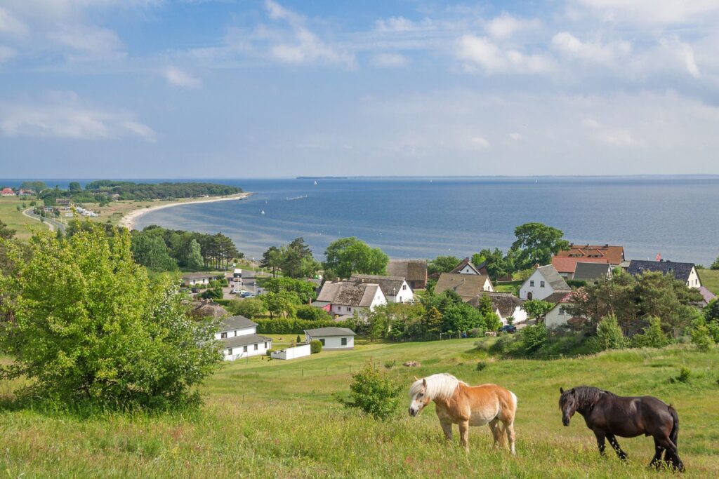 Strandhaus Anna in Lobbe - 37