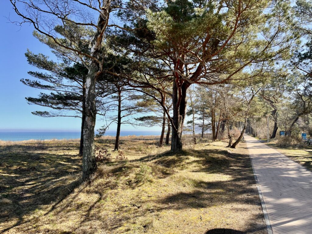 Strand-Koje 823 in Göhren - 25