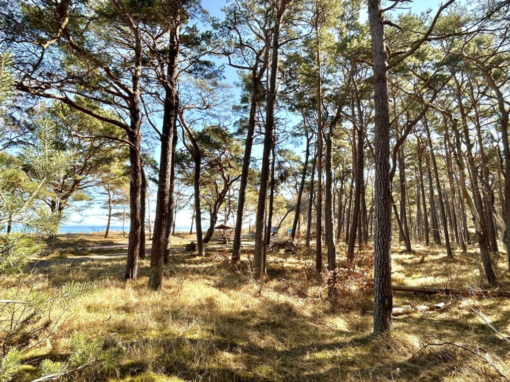 Strand-Koje 823 in Göhren - 24