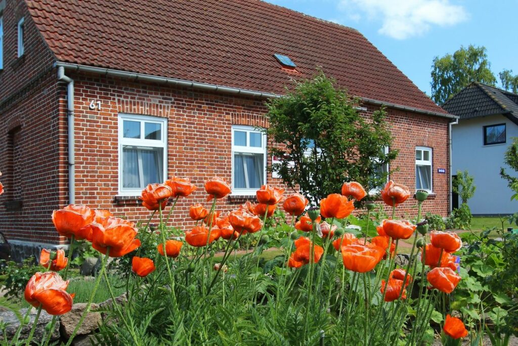 Ferienwohnung Adonisröschen in Baabe - 1