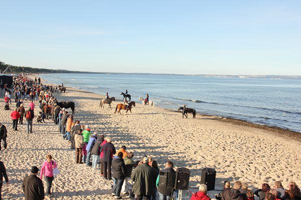 Pferderennen im Ostseebad Binz