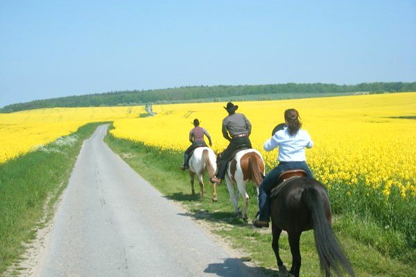 Reiten im Urlaub auf Rügen